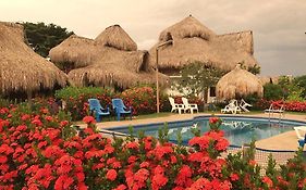 Palomino Breeze Hostal