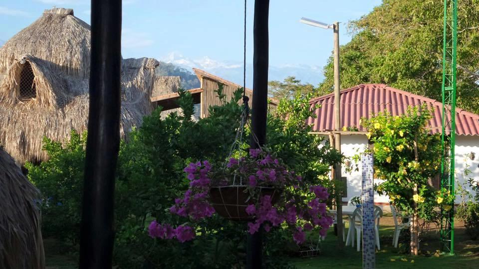 Palomino Breeze Hostal Exterior foto